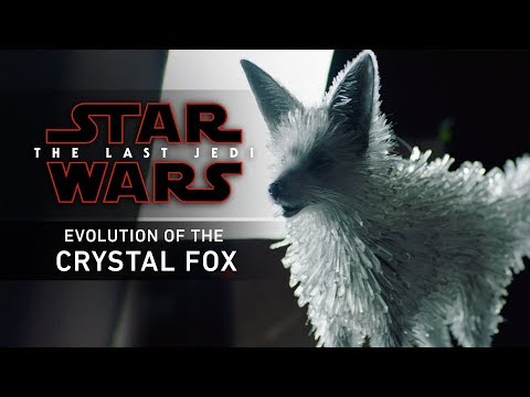 Evolution of the Crystal Fox
