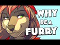Furry Community Experiences and Insights
