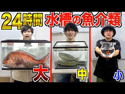 【24時間】大中小の"水槽"に入った『魚介類』を捌かないと食べられない生活！？