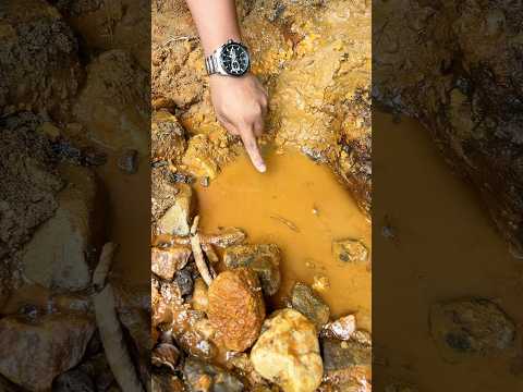 So Crazy..,😱😱,‼️we got $20.000 in one pan. #golddiscovery #goldprospecting #goldtreasure