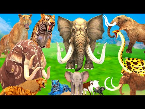 Zombie Tiger Lion vs 2 Giant Elephant Cow Buffalo vs Giant Snake Attack Baby Cow Saved By Mammoth