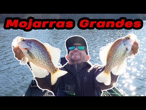 Lago Infestado De Mojarras En Medio De Las Montañas