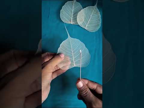 How To Make Skeleton Leave | Colourful Skeleton Leaves #shorts