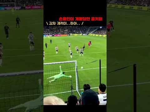관중 키퍼 1초 뇌정지 온 손흥민 궤적 ㄷㄷ