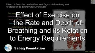 Effect of Exercise on the Rate and Depth of Breathing and its Relation to Energy Requirements
