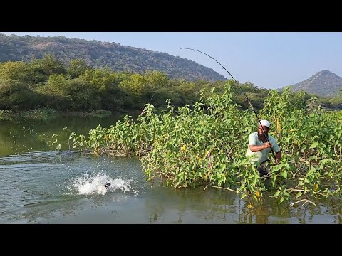 "SINGLE HOOK FLOAT FISHING IN ROHUFISH|SIMPLE BUT EFFECTIVE TECHNIQUE FOR ROHUFISHES "