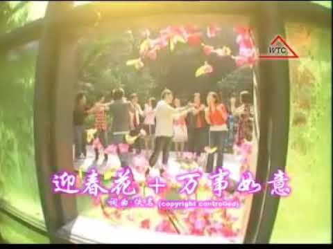 迎春花/萬事如意