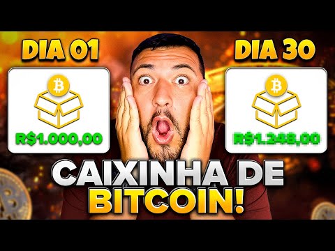 Como eu coloco minhas CRIPTOS para render! Renda fixa de criptomoedas existe!