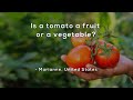 Understanding Fruits and Vegetables