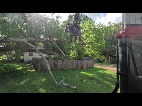 Storm damage at Hollis Farms