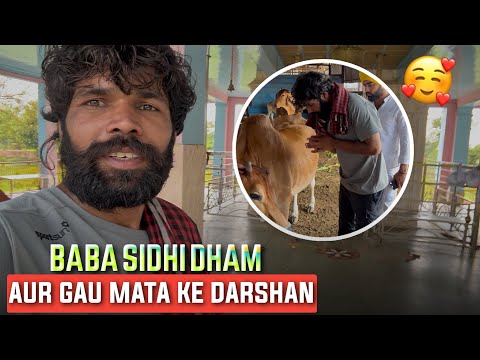 आज गये बाबा सिद्धकी के धाम पर(गोओ माता की सेवा की)