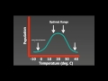 Tolerance Curves and Species Survival
