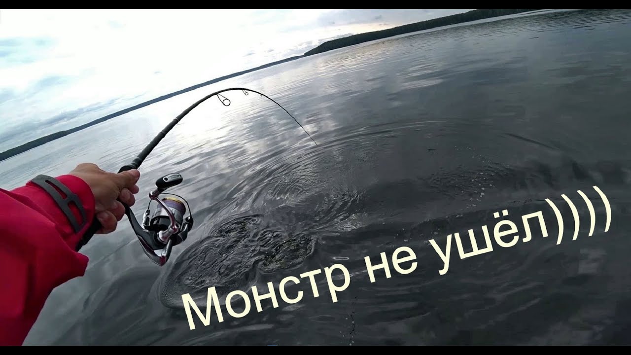 Ура! Щука монстр не ушла. Разловил новый спиннинг Black Hole Sabotage 2019