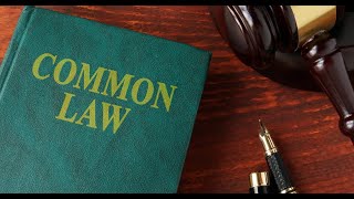 Allegedly Dave - Introduction to Common Law - Mid Sussex Assembly - Burgess Hill - 11th January 2022