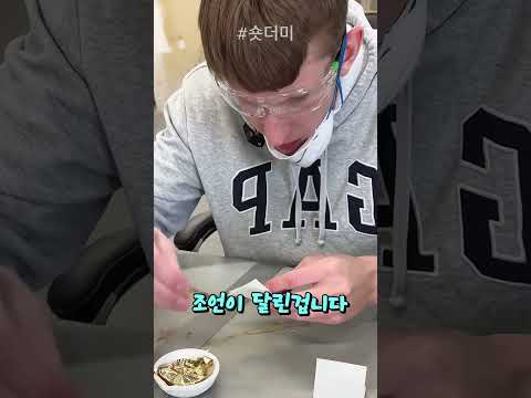 아마존에서 구매한 금박 실험결과
