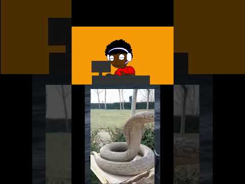 ก็แค่หุ้นงูจงอาง #memes #anines #animation #funny #animatin #animatry #skibiditoilet #humor