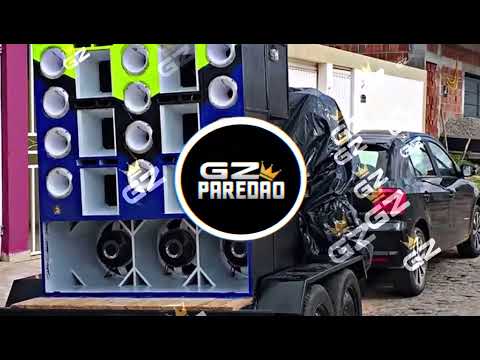 CD FORROZINHO PRA PAREDÃO 2025 NOVO ANAILSON PRODUÇÕES  E DUDU BATIDÃO ALTA QUALIDADE #piseiro