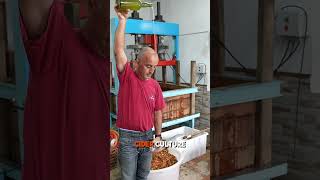 If green, coastal Spain appeals to you, Asturias is worth adding to the shortlist.