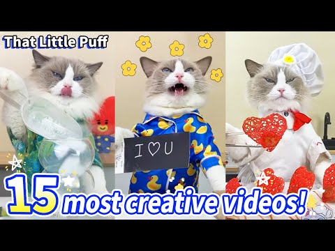 🤩15 Most Creative Videos! | That Little Puff