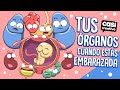 Cambios Físicos y Emocionales Postnacimiento