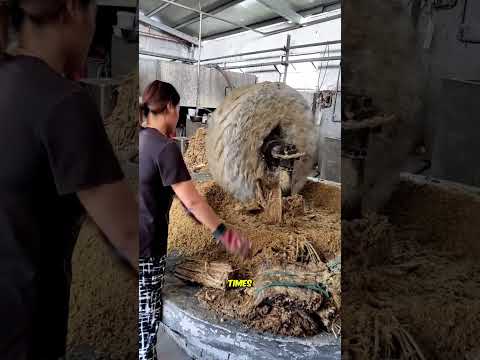 Bamboo papermaking technique: a thousand-year-old tradition and accumulation.