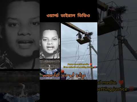 ওয়ার্ল্ড ভাইরাল ভিডিও #real #viralvideo #বাস্তবতা #বকপাখি
