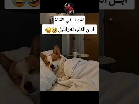 ذكرني بشخص 🤣🤣 #اضحكو_بحب_اشفكم_مبسوطين #حط_لايك_واشترك_بالقناة_بدربك #funny