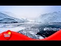 Impact of the Cryosphere on Earth