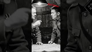 ​#SustainableLiving #viralshorts #today #new #history #newvideo #ww2 #germany #military #humanity