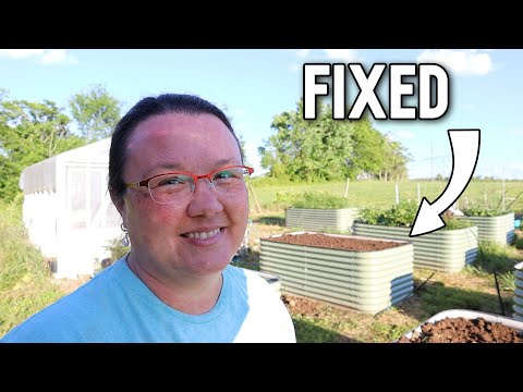 Late-Season Gardening: Fixing Our Homestead Garden Mess!