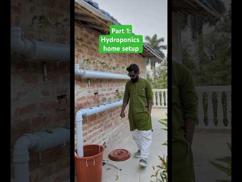 Part 1 : Hydroponics technique #terracegarderning #hydroponics #plants #aquaponics
