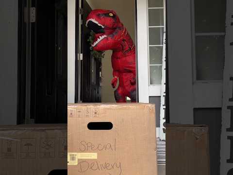 Dinosaur and dog get package of chicks! #shorts
