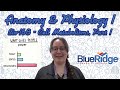 Cellular Metabolism and Respiration Concepts
