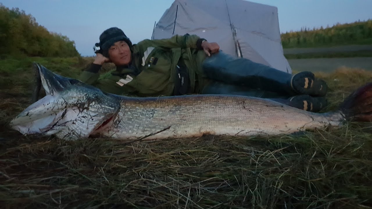 Приключения Румын в Якутии -6 часть Aventurile romanilor in Iacutia 6 part