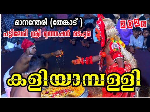 കാണൂ ഈ ചടങ്ങ് പട്ടിലേരി ശ്രീ മുത്തപ്പൻ മടപ്പുര മാനന്തേരി തേങ്കാട് 2025 കളിയാമ്പള്ളി#trending