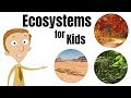 Exploring Ecosystems: A Fun Journey for Kids