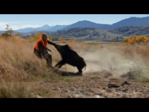 TOP 10 WILD BOAR HUNTING || Best Scenes ||SEASON: 2025- PART 6