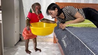 OMG Abu! What Happened to Mom!?