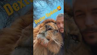 Update on Dexter🦁