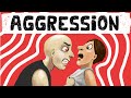 Exploring Theories of Aggression in Social Psychology