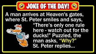 🤣 BEST JOKE OF THE DAY! - "Watch for Ducks" One Wrong Step Changes Everything... | Funny Dad Jokes