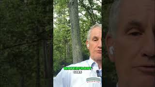 Rock Hill: BMX Worlds, Lakes, Mountains & Olympic Velodrome! #shorts