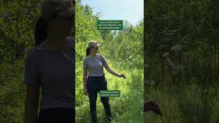 Fieldwork Friday! |  Vendredi Sur Le Terrain!
