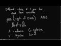 Understanding SNPs and Genetic Variation