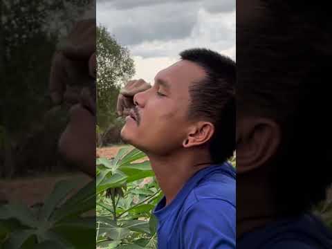 คักบ่