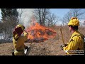 Conservation Efforts and Landowners