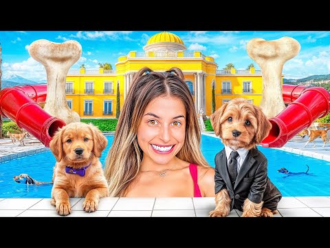 FIZ UM HOTELZINHO 5 ESTRELAS PARA CACHORROS !!!