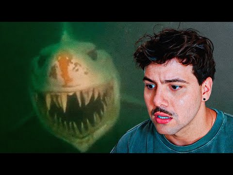 Você vai pensar 2x antes de entrar no mar agora