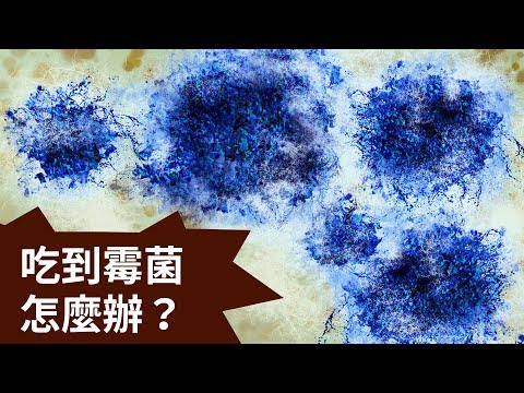 不小心吃進黴菌怎麼辦？ - YouTube