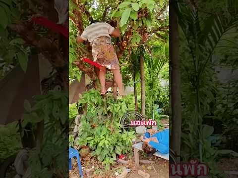 #timelapse, start to finish alone build log cabin (wooden house), how to build wooden cabin, surviva